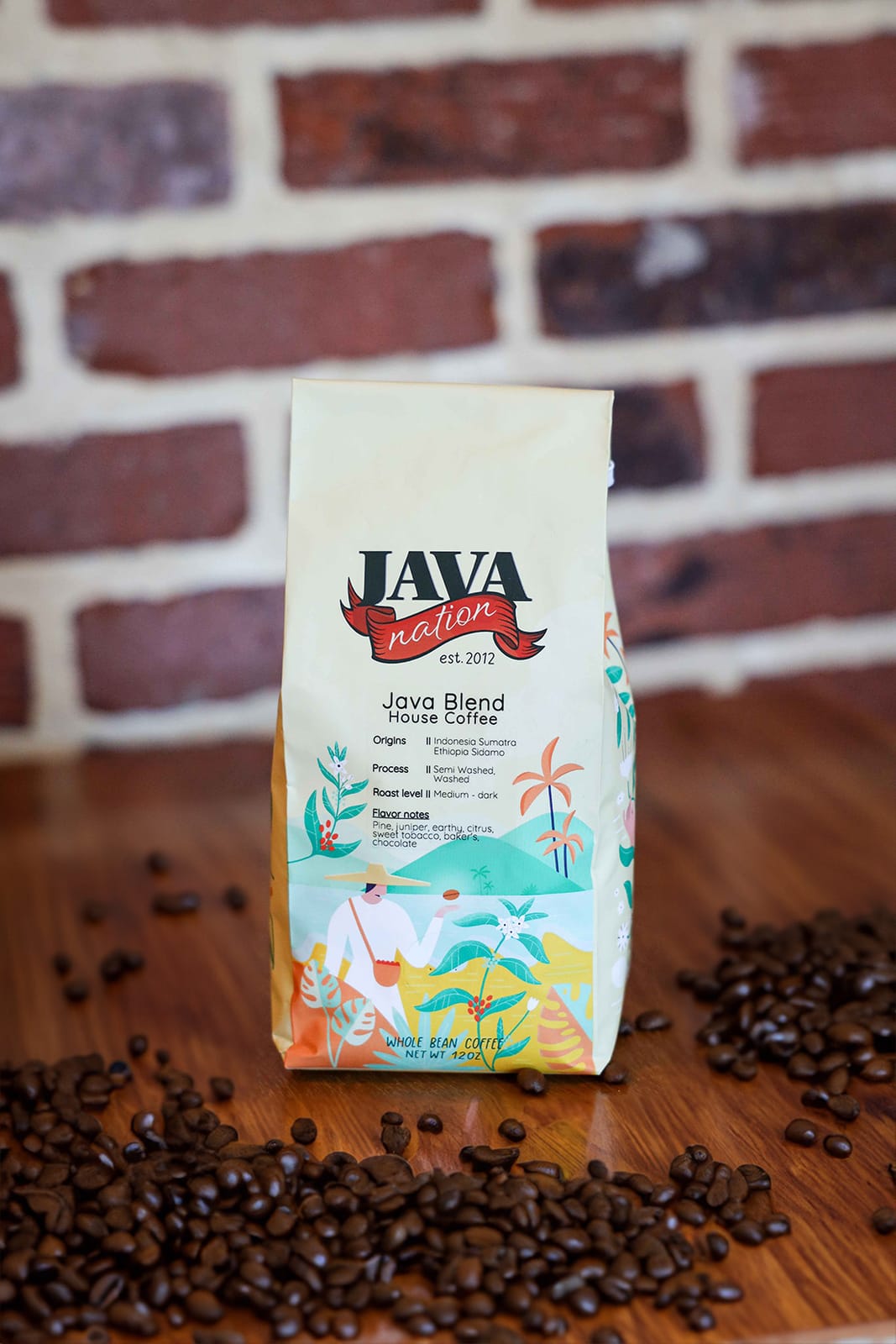 Java Nation photo 4