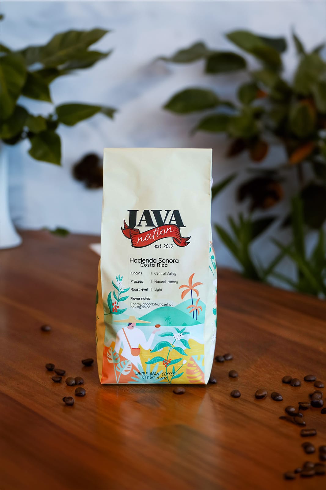 Java Nation photo 3