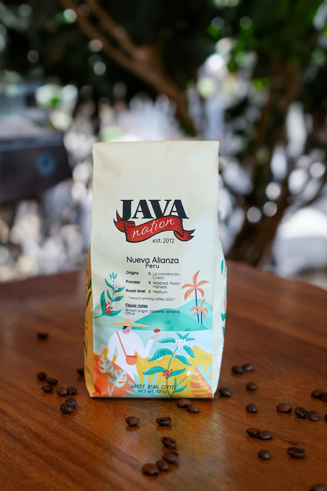 Java Nation photo 2