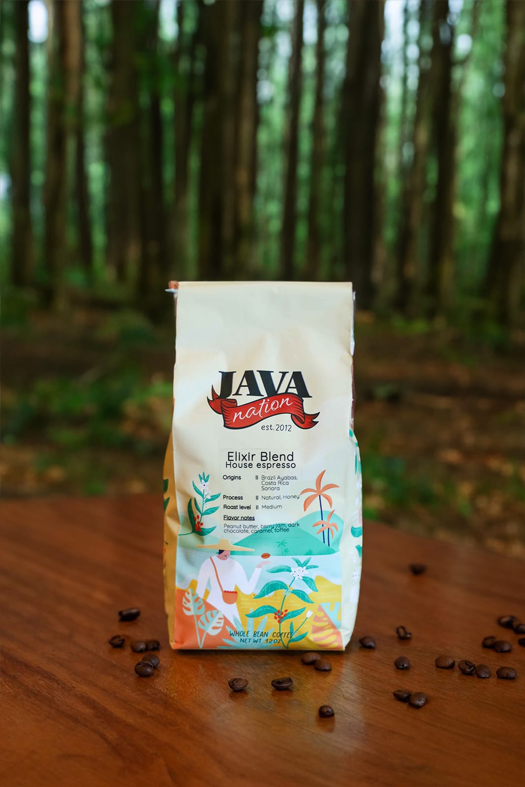 Java Nation photo 5