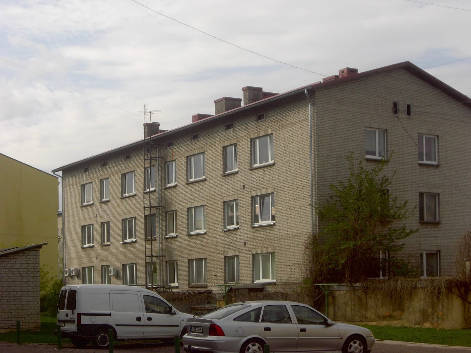 Piibeleht photo 3