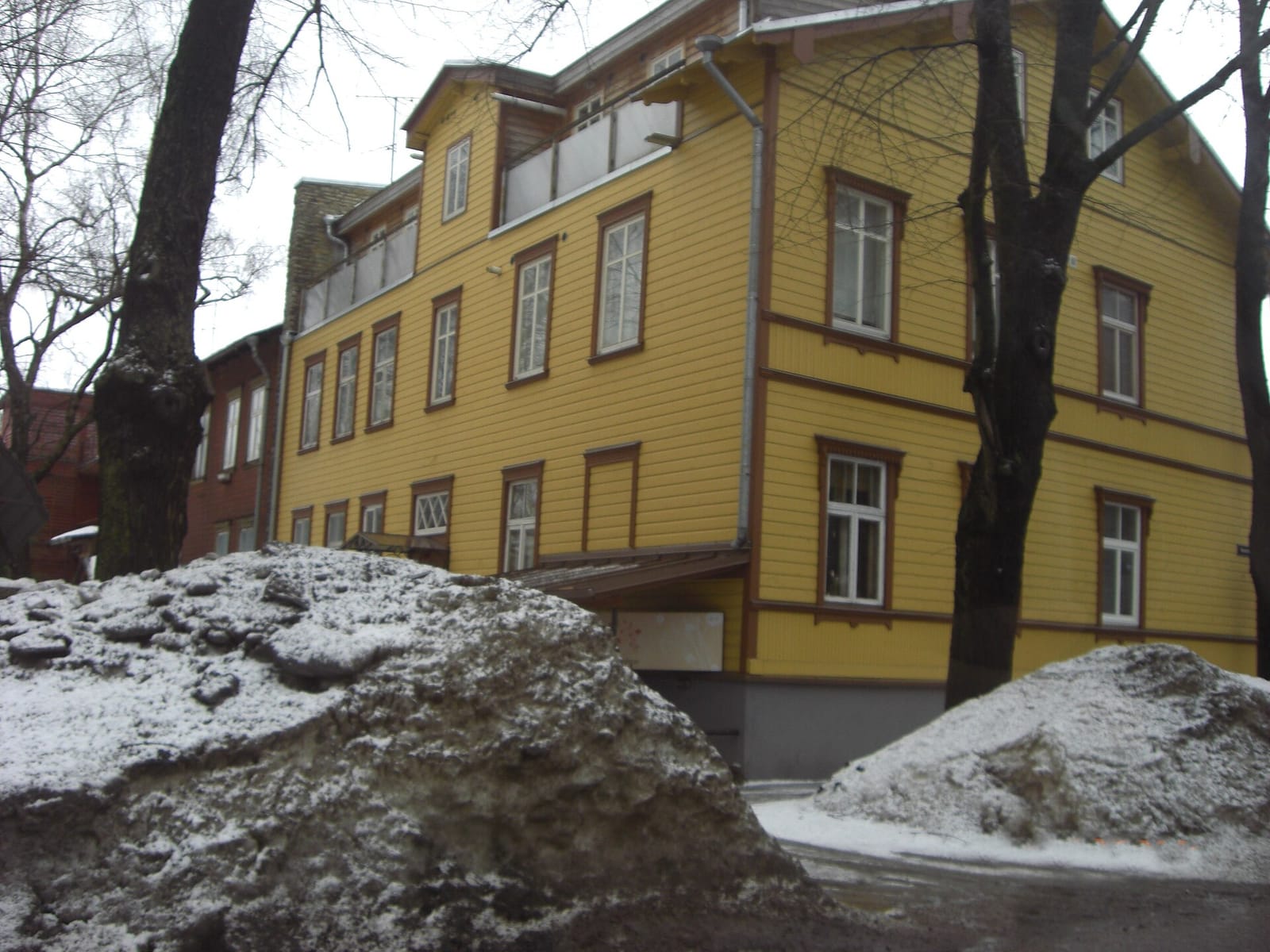 Kuusk Hernesto photo 2