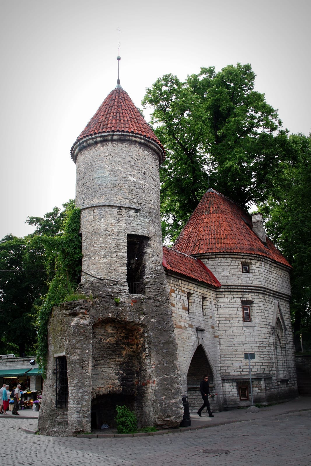 Pelmen photo 2