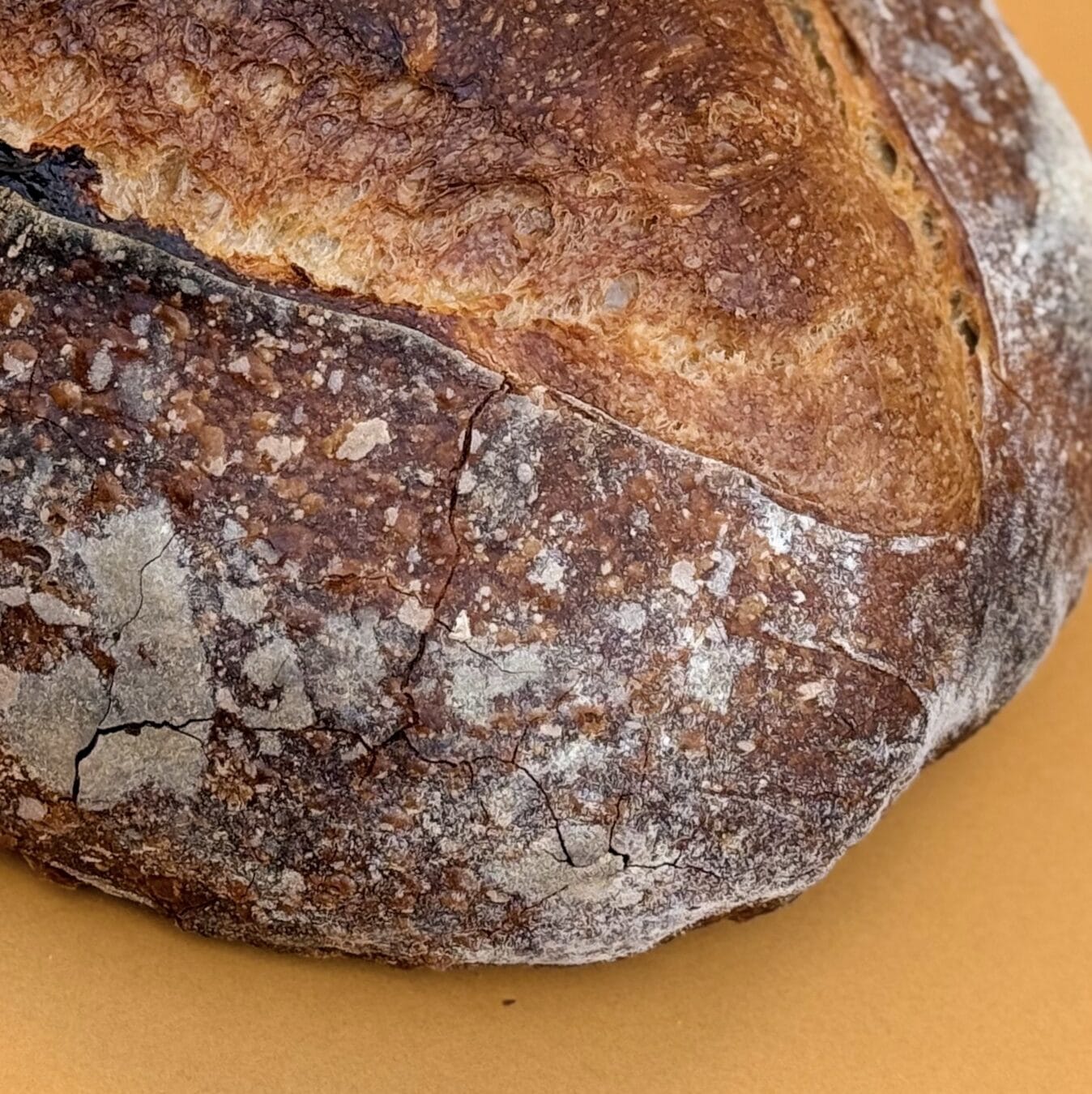 Cruffin Pagarikoda photo 4