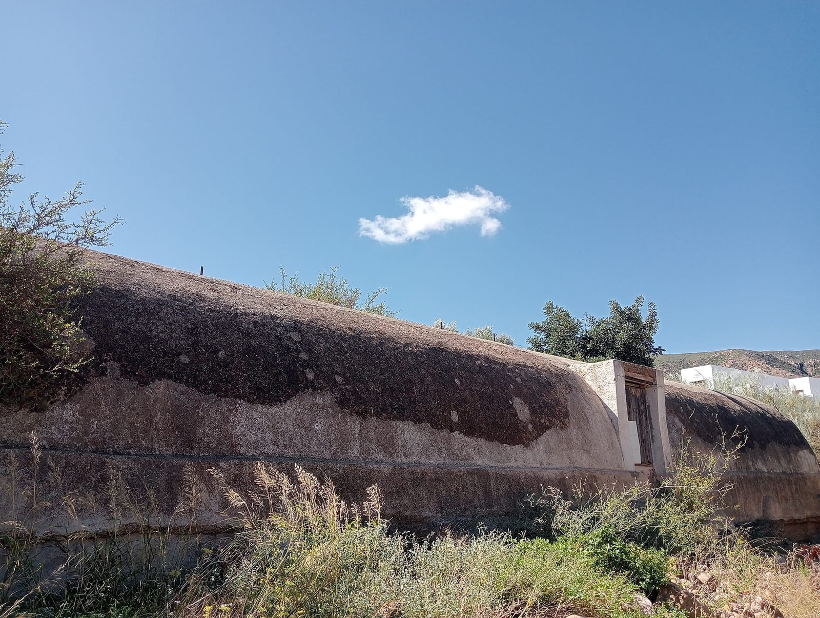 El 340 photo 3