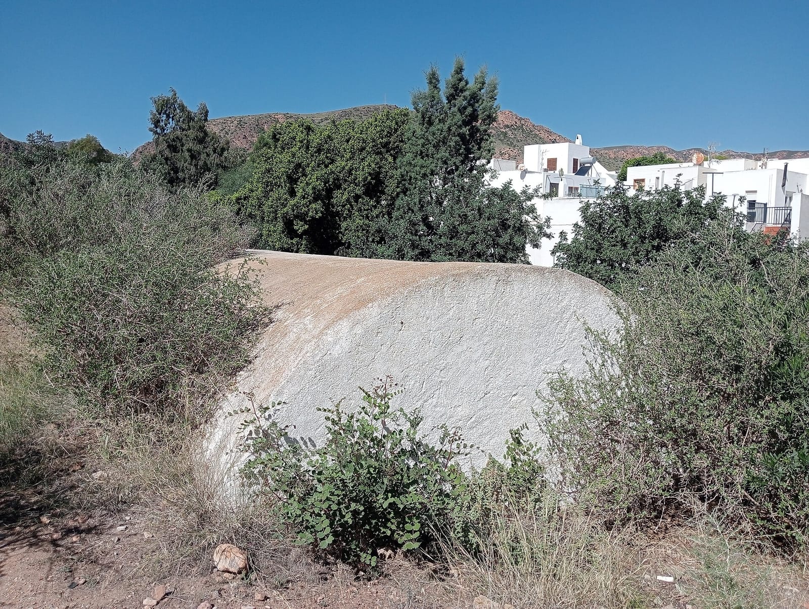 El 340 photo 2