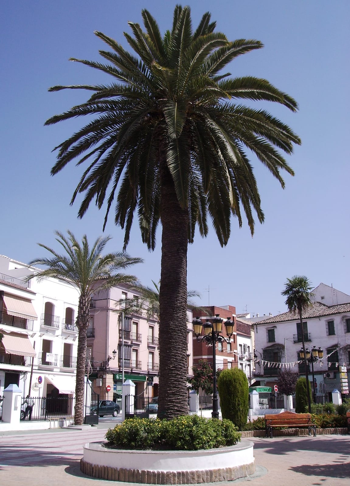 Bar La Plaza