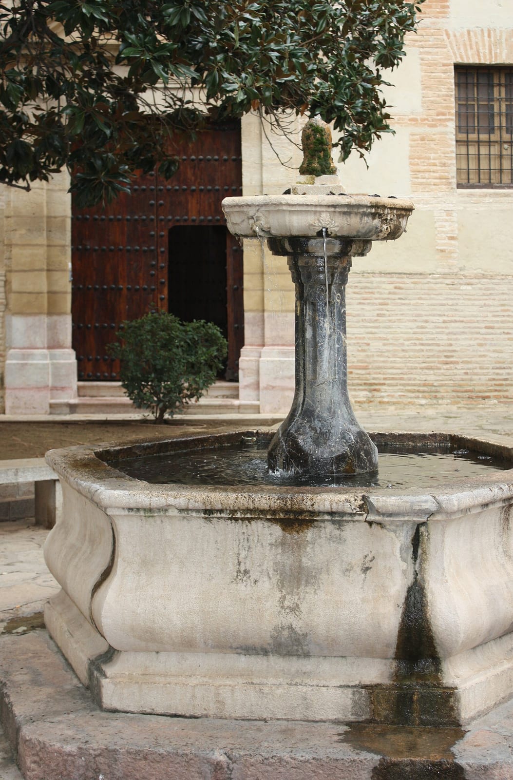Marengo photo 4