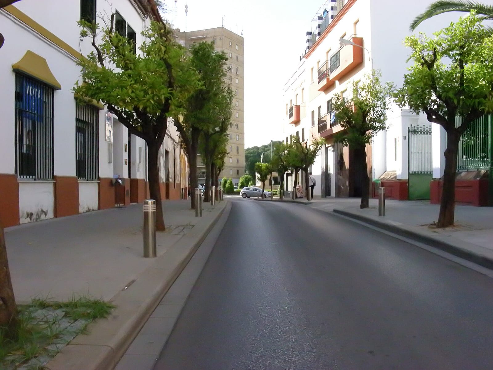 La Centenaria photo 3