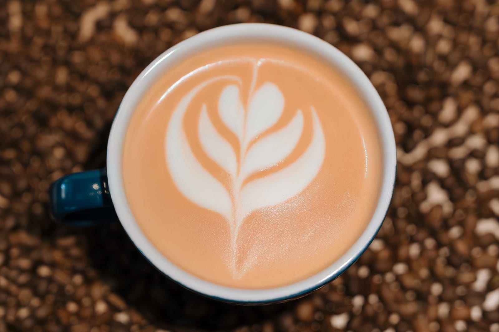 ROCO Kitchen + Coffee photo 5