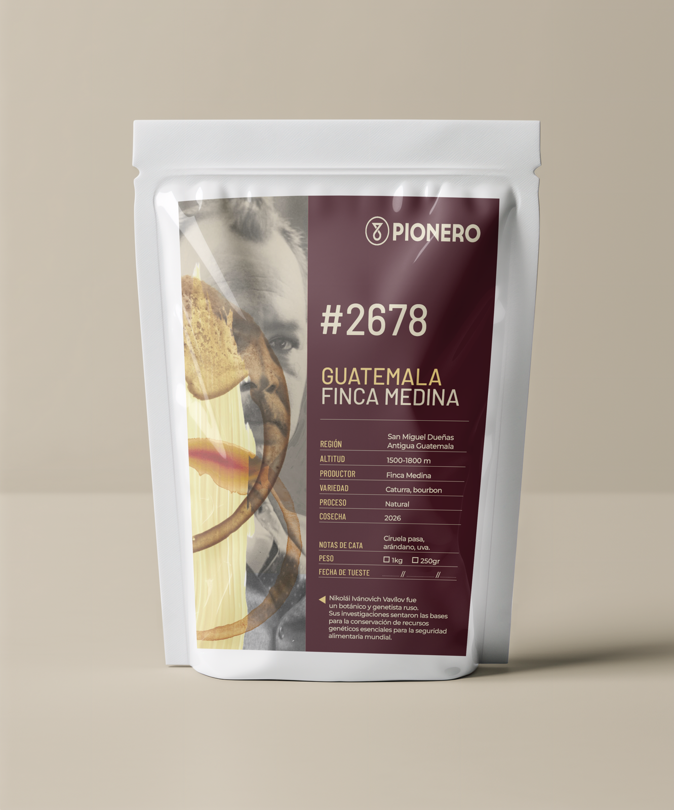 Pionero Coffee Roasters photo 6