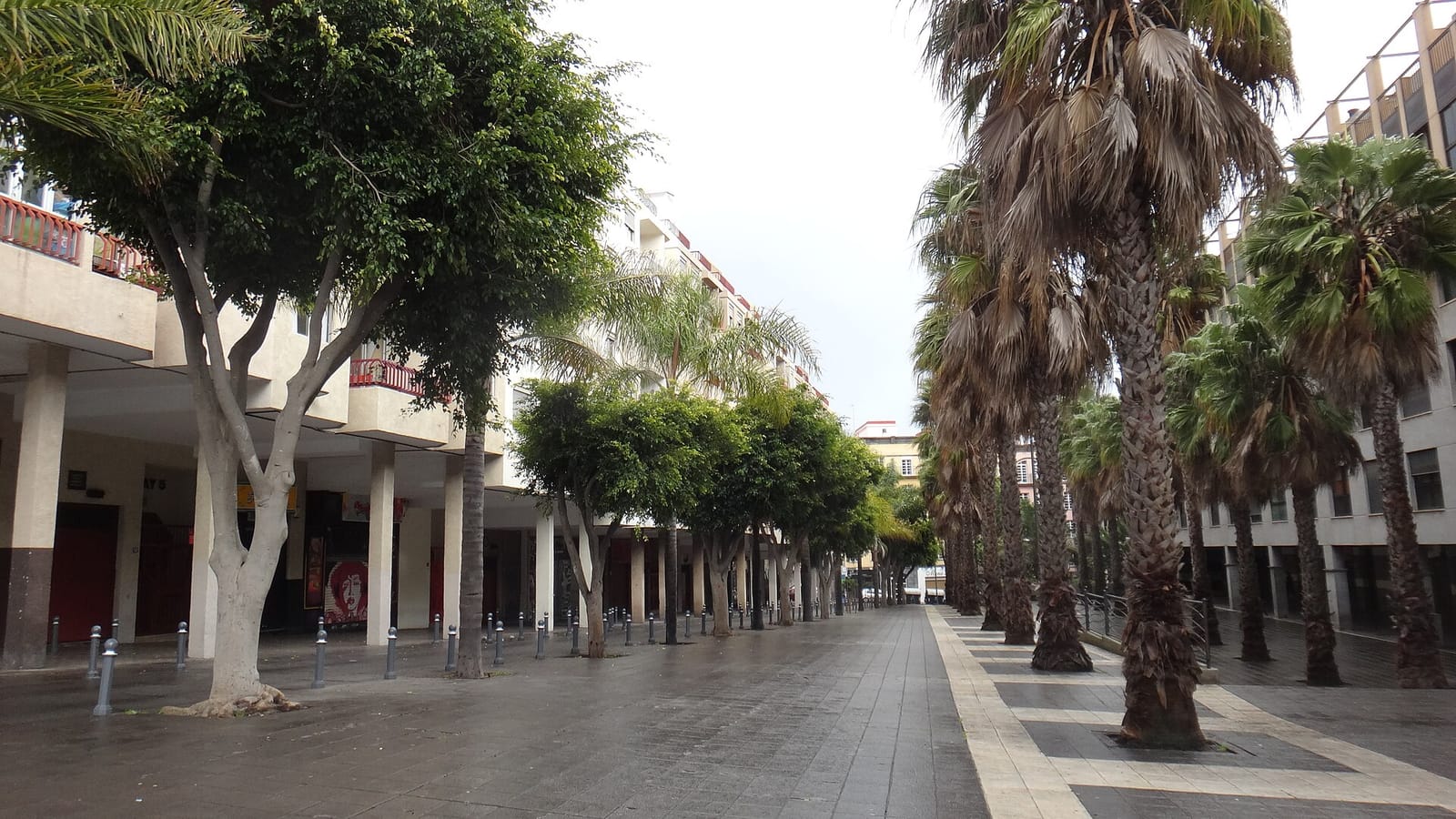 La Troya photo 2