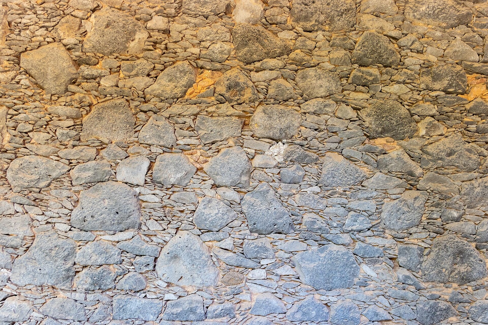 Pan de lata photo 3