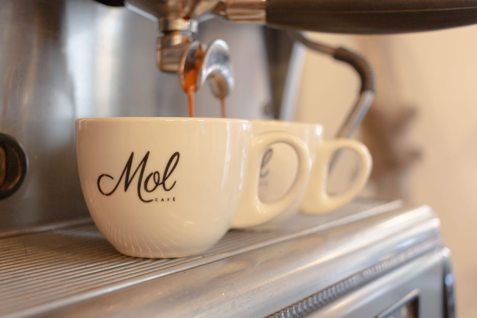 Mol Café photo 2