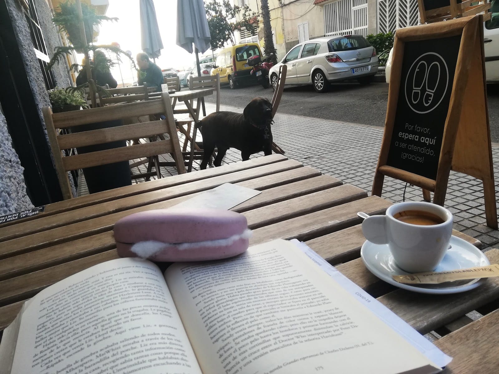 Mol Café