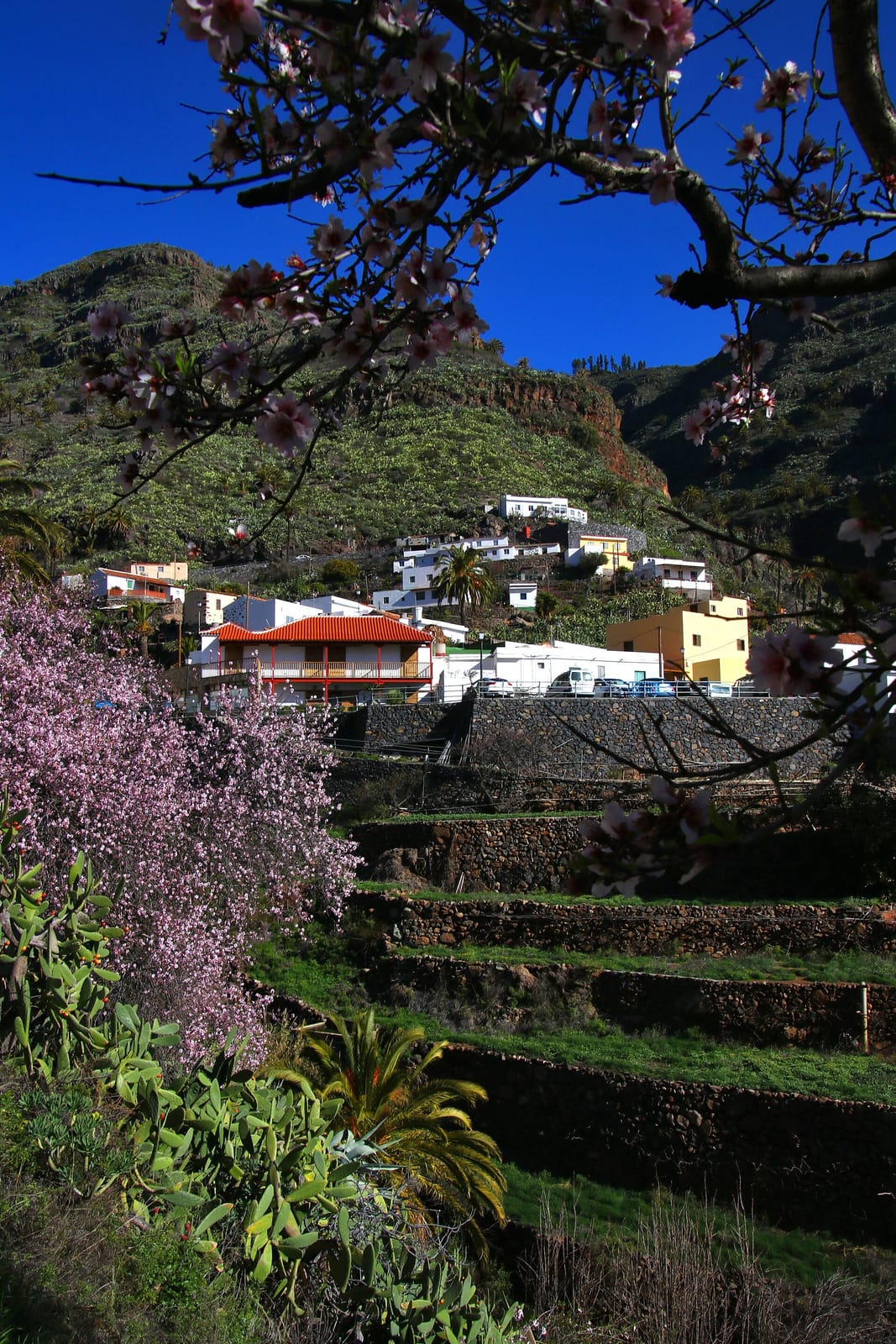 Arcilia photo 3