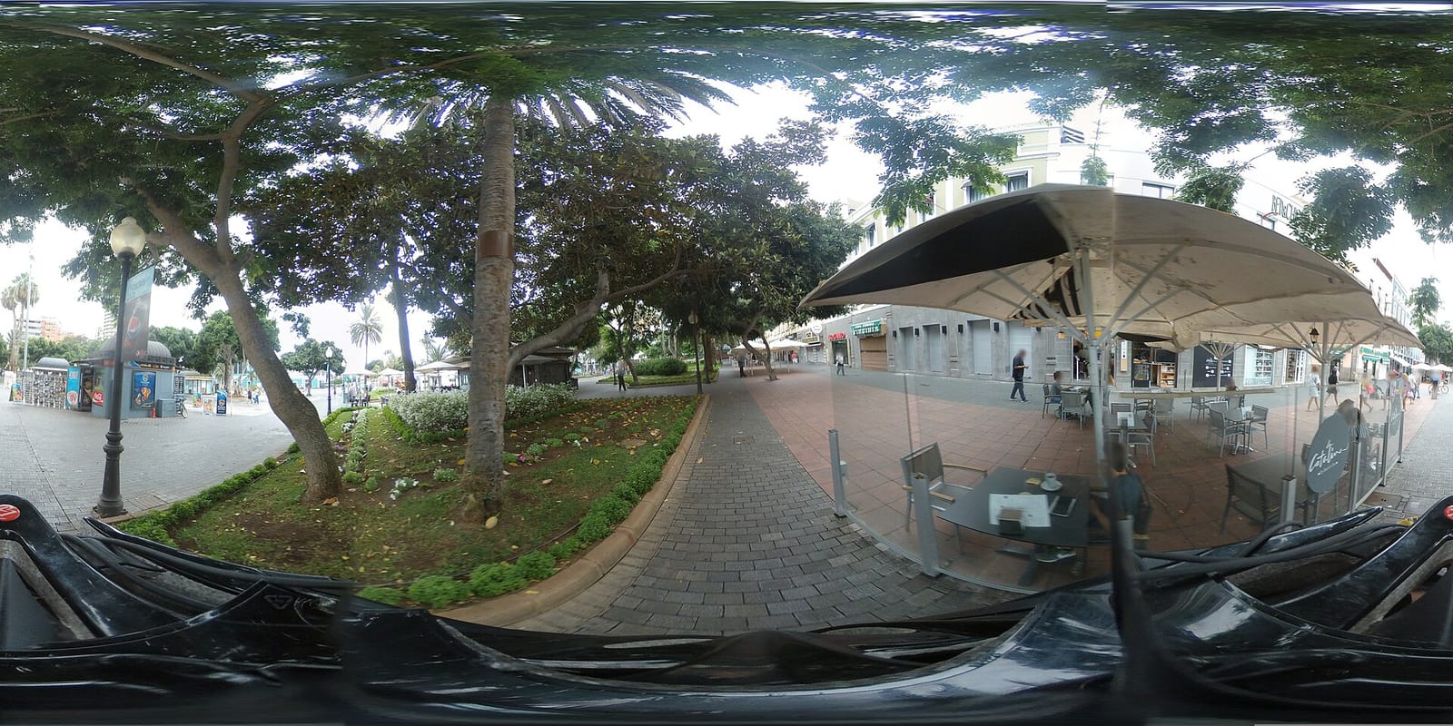 Café Regina photo 4