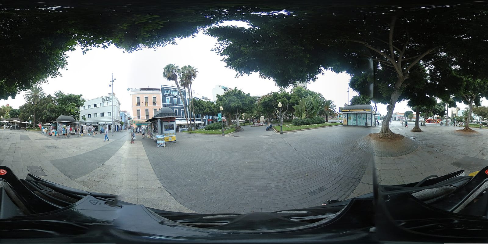 Café Regina photo 2