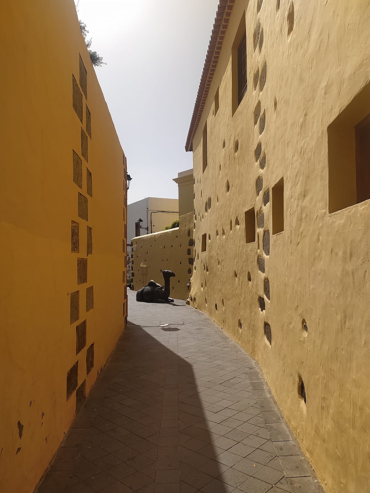 Aragüeme photo 2