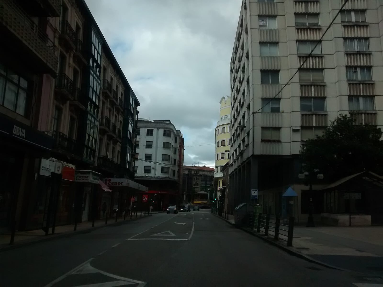 Café Avenida photo 2
