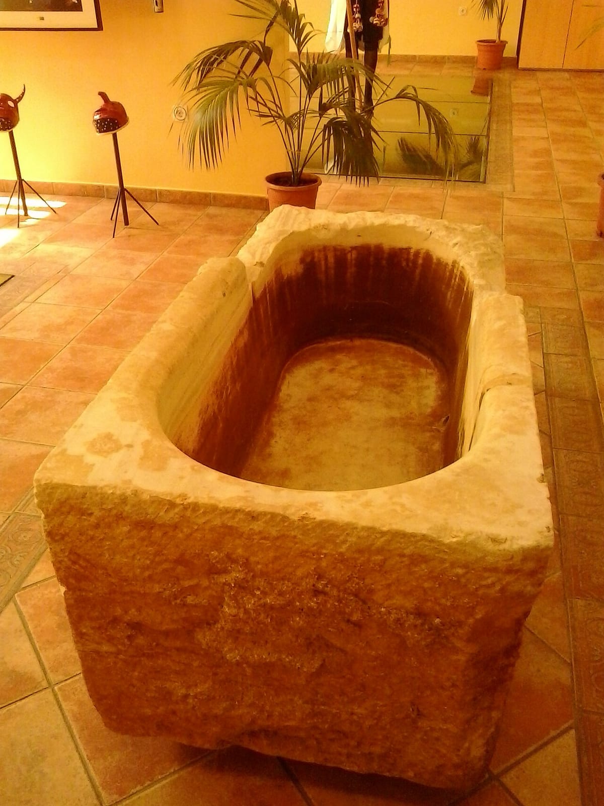 La Canela photo 2