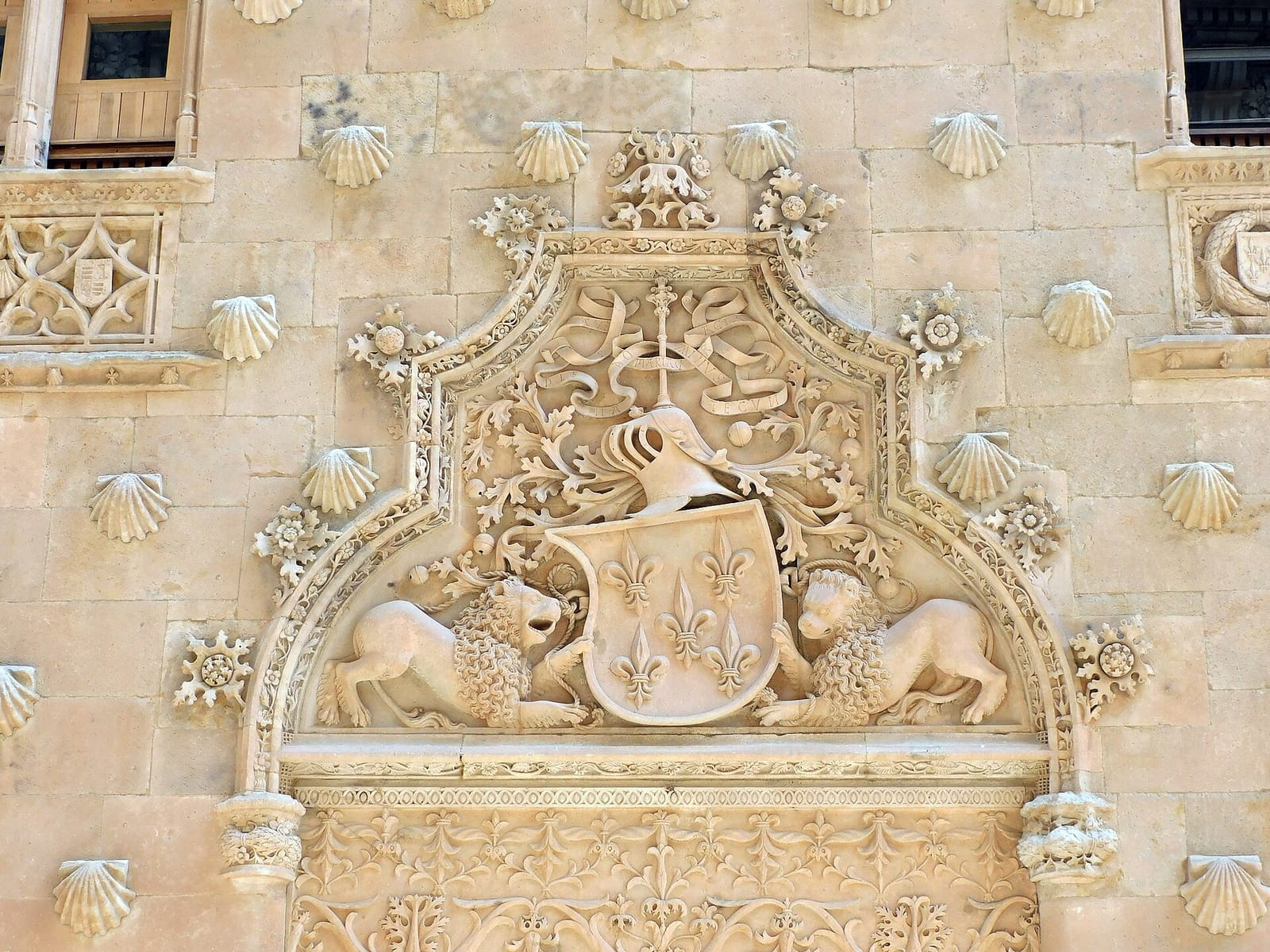 El Alcaraván photo 4