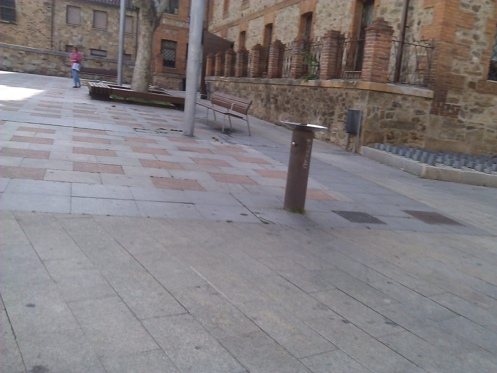 La Cepediana photo 3