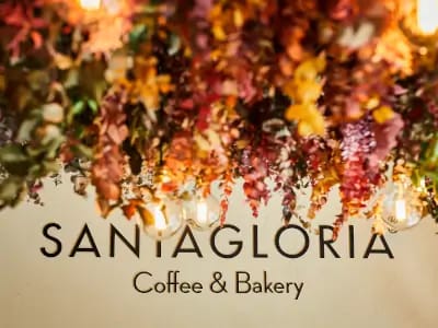 Santagloria photo 4