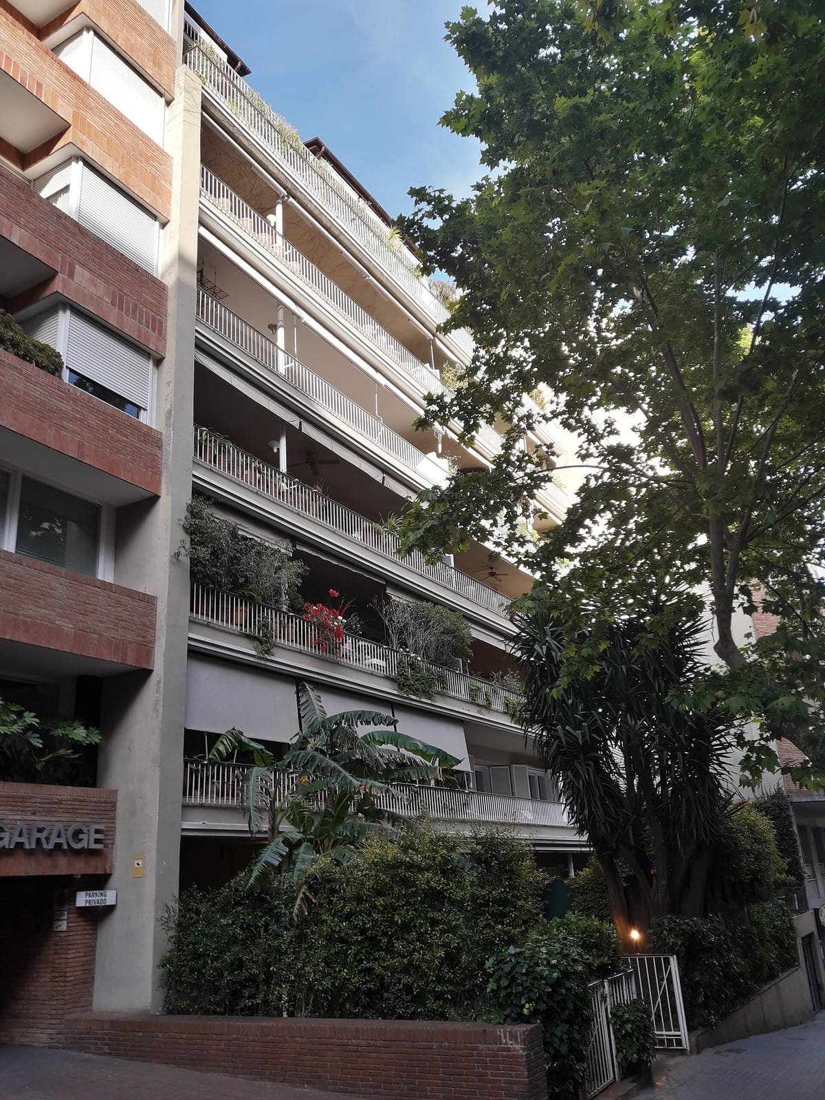 Don Zangano photo 3