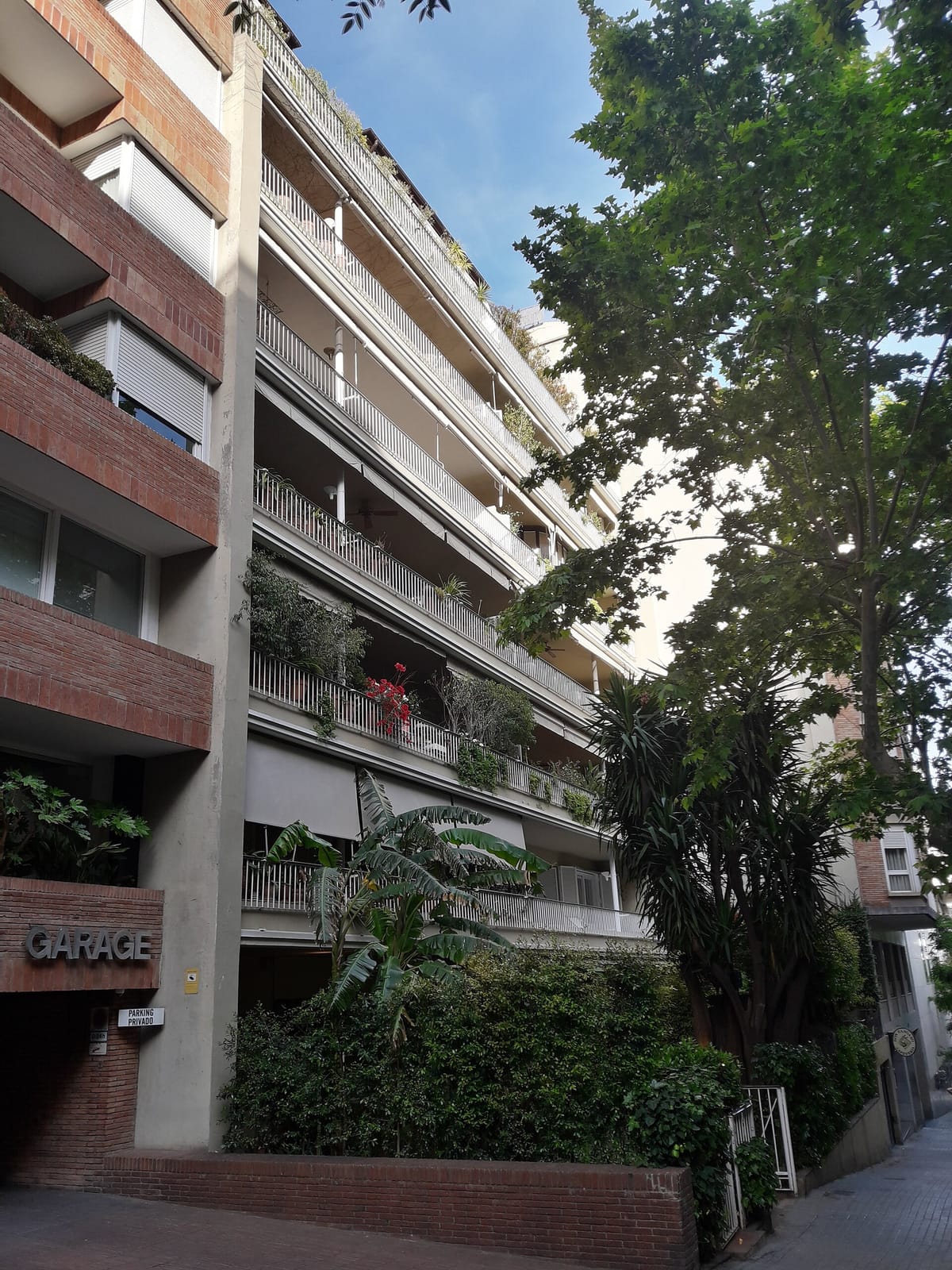 Don Zangano photo 2