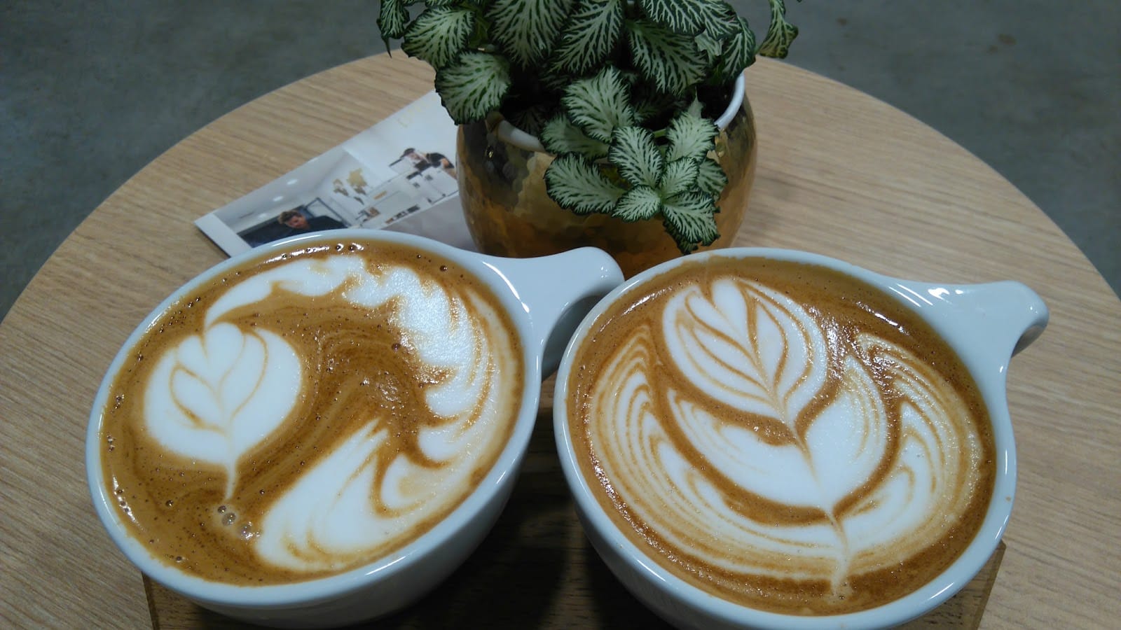 Espresso Mafia
