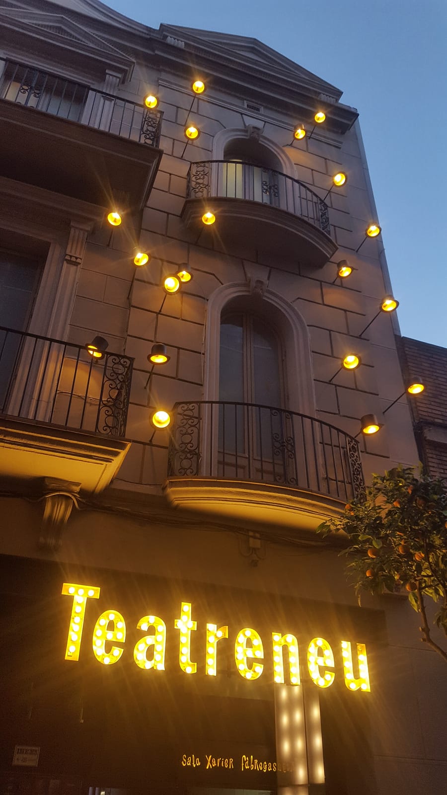 Espai de gats photo 3