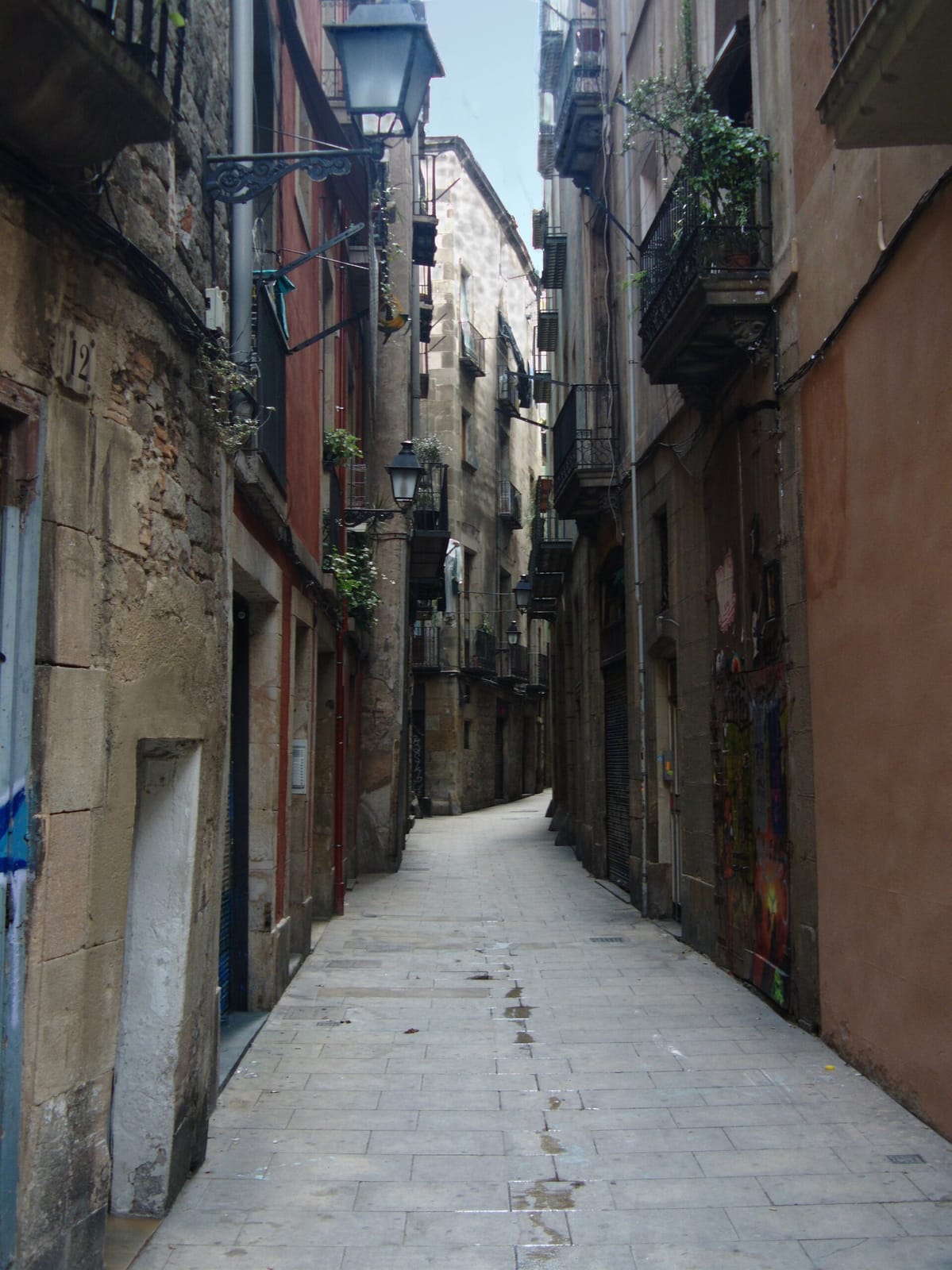 El Fruiter del Gotic photo 3