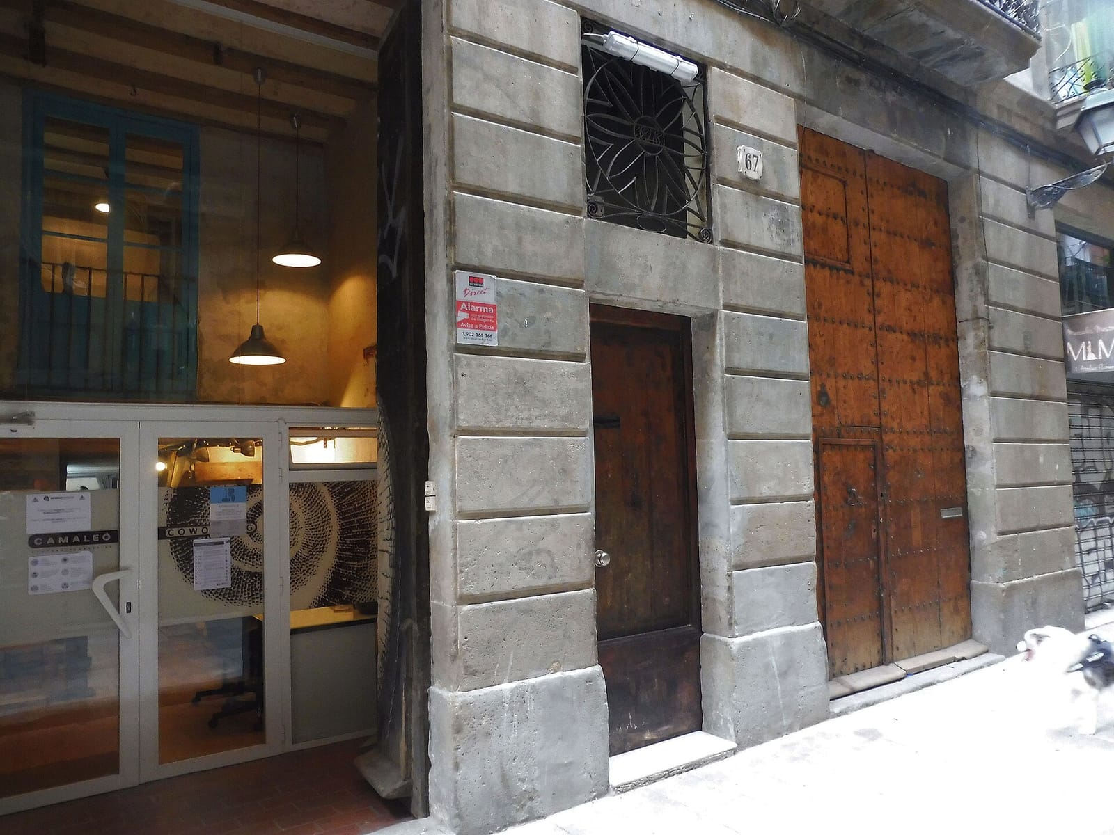Vera Café photo 5