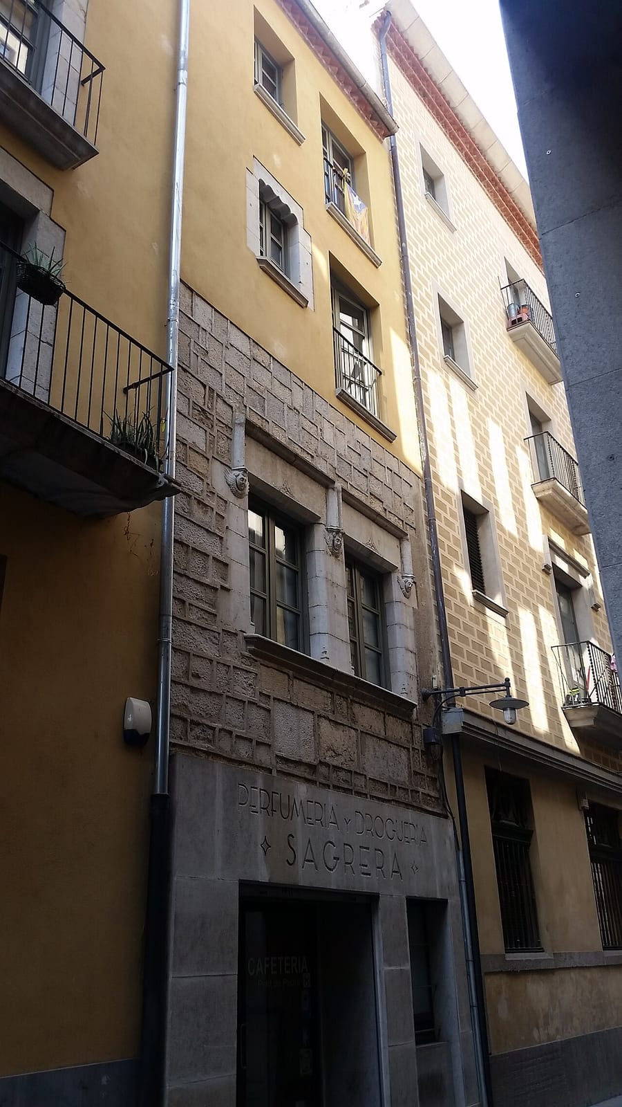 Pont de Pedra photo 3
