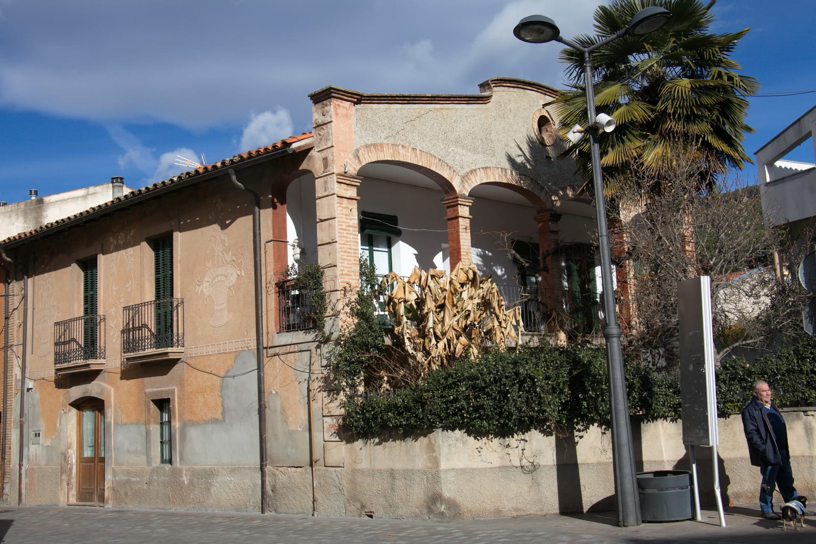 El Taronger photo 2