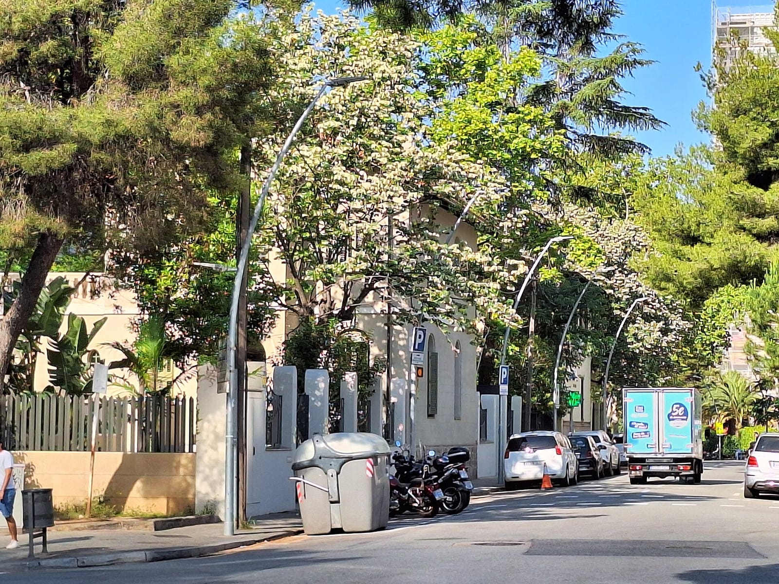 La Forneria photo 3
