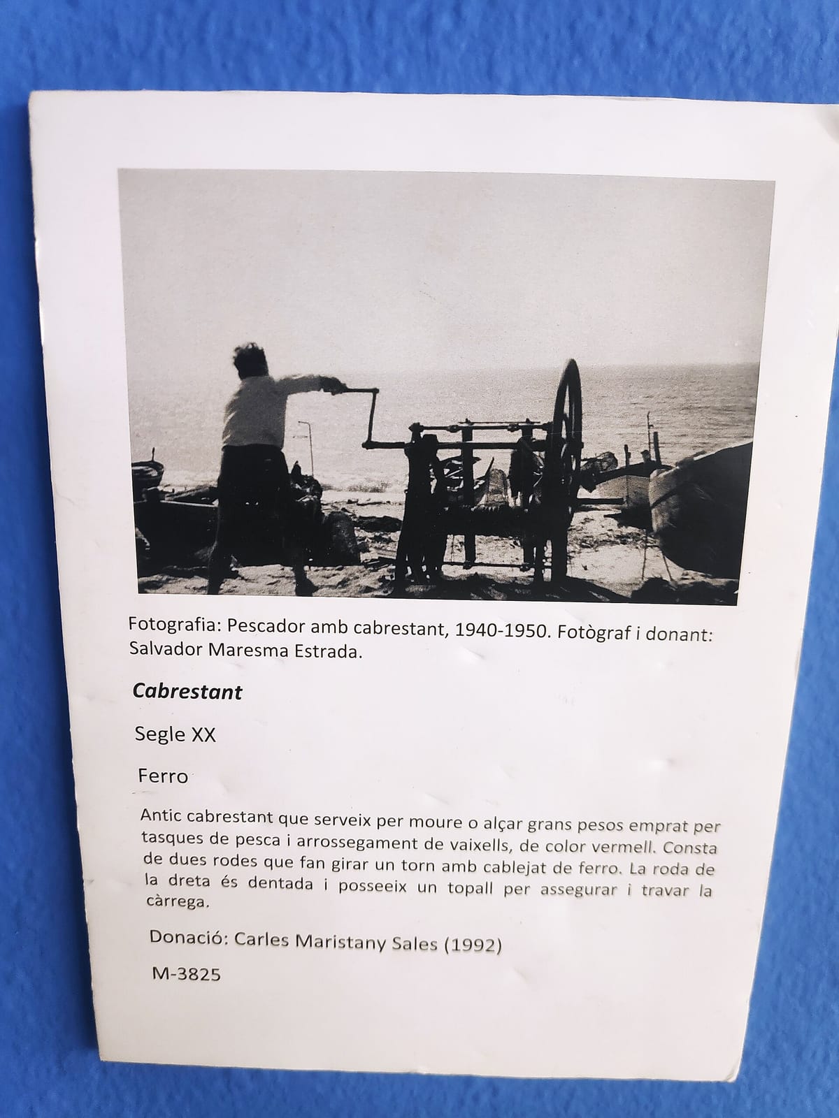 Agora Cafè photo 4