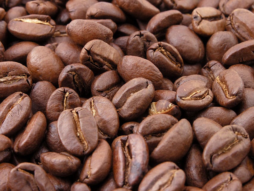 The Hot Chocolate Sparrow photo 7