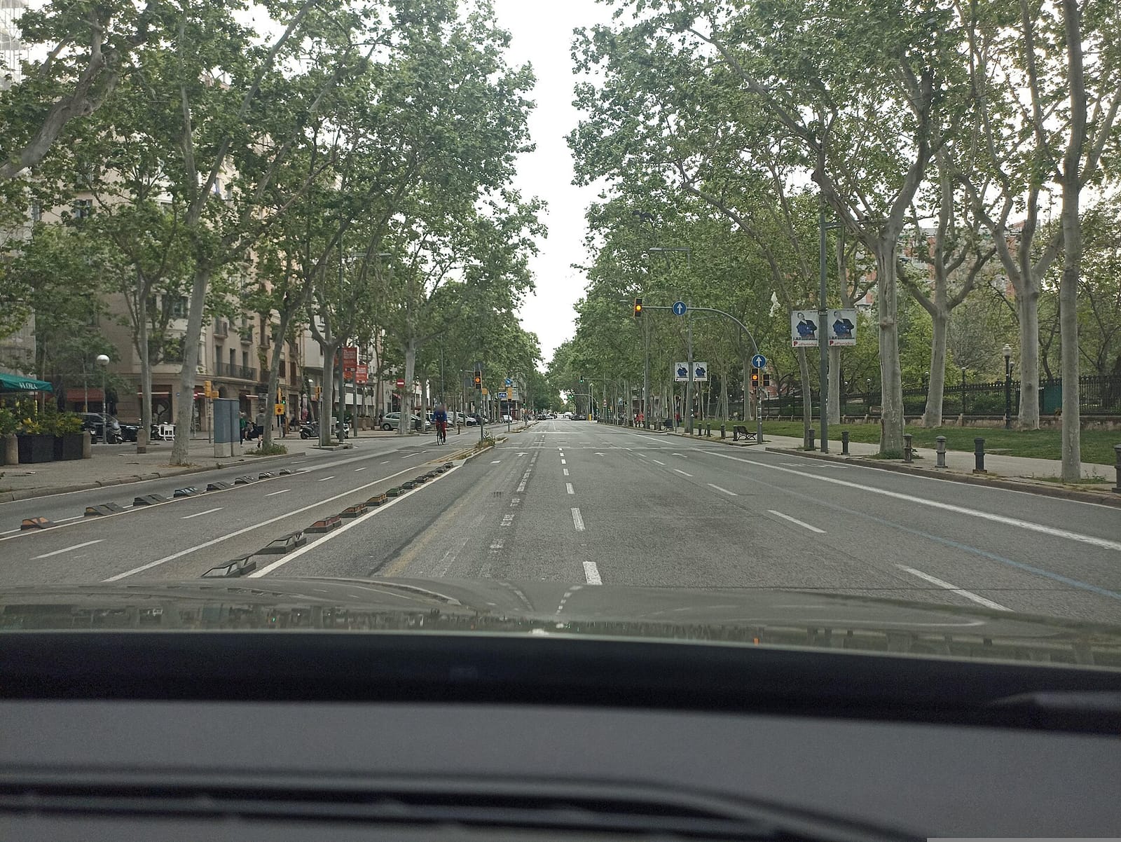 Flora photo 2