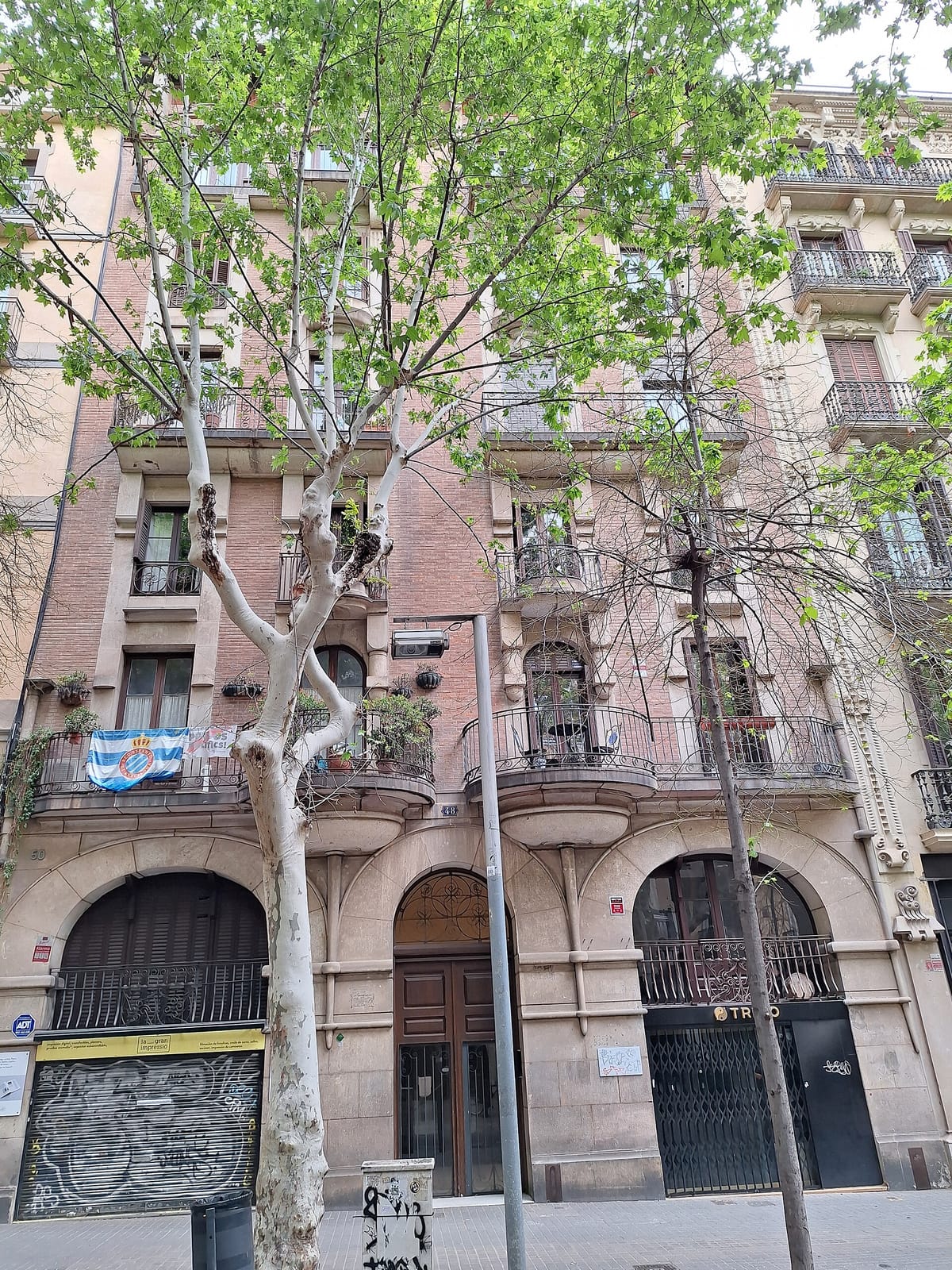 Casa Florita