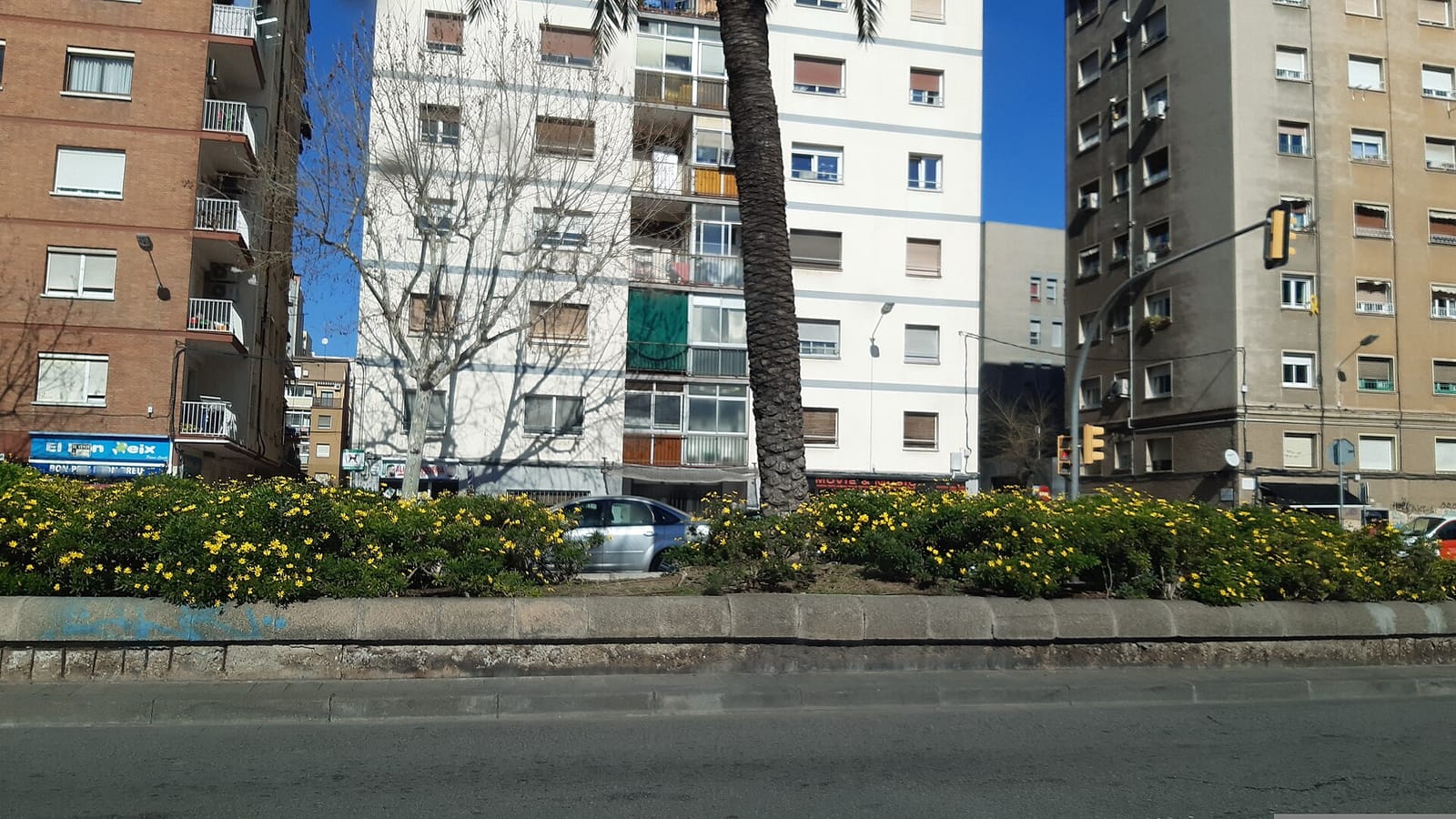 Granja Heiyma photo 2