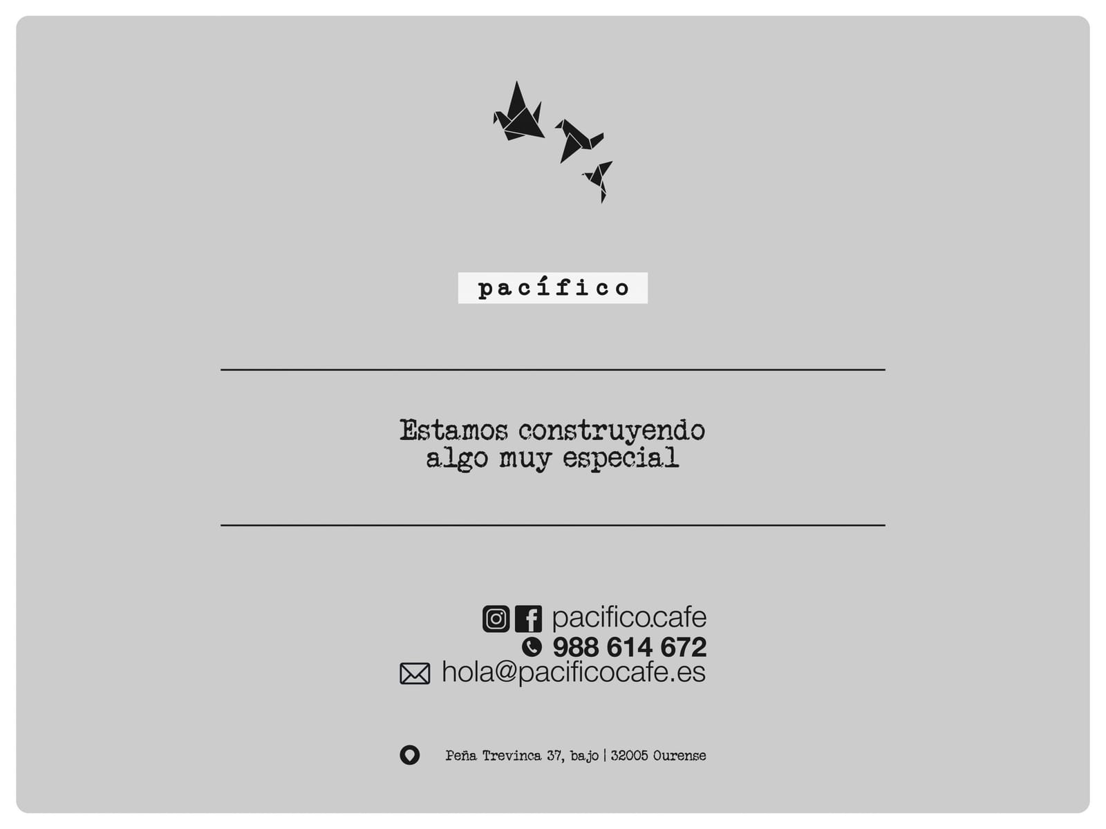 Café Pacífico photo 2
