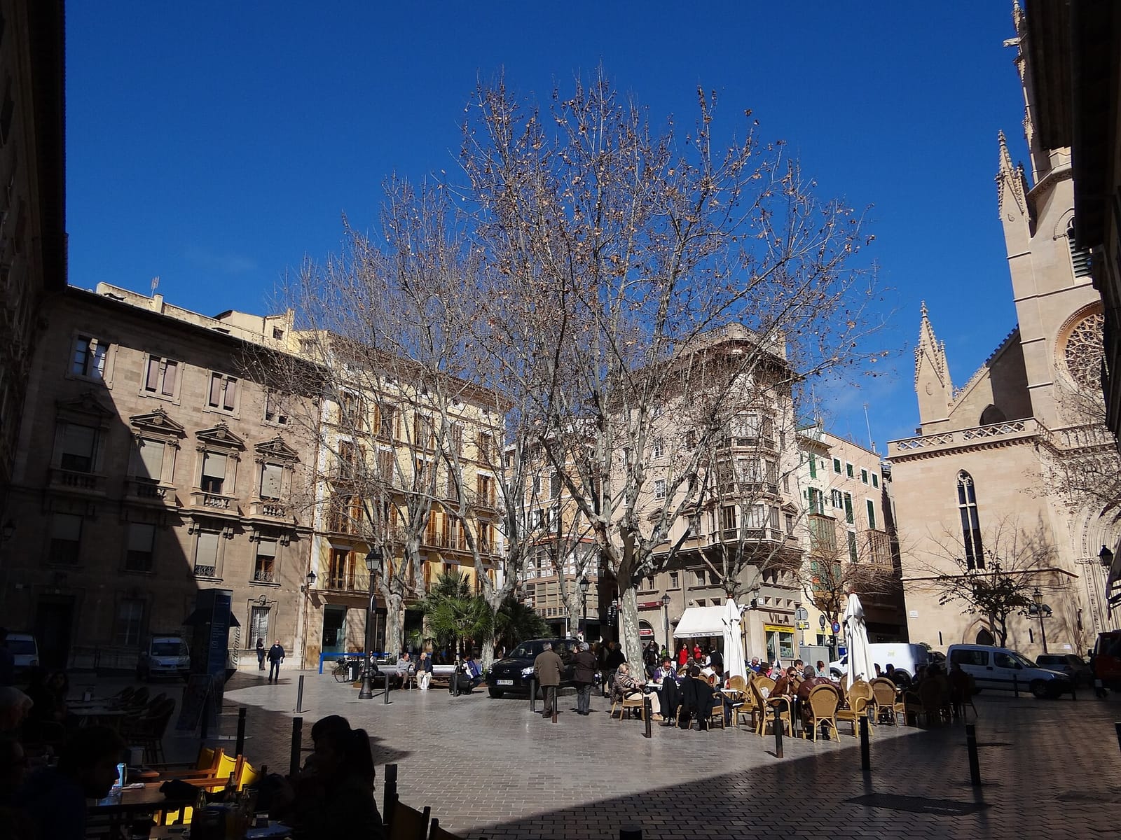 Cafè Plaça photo 3