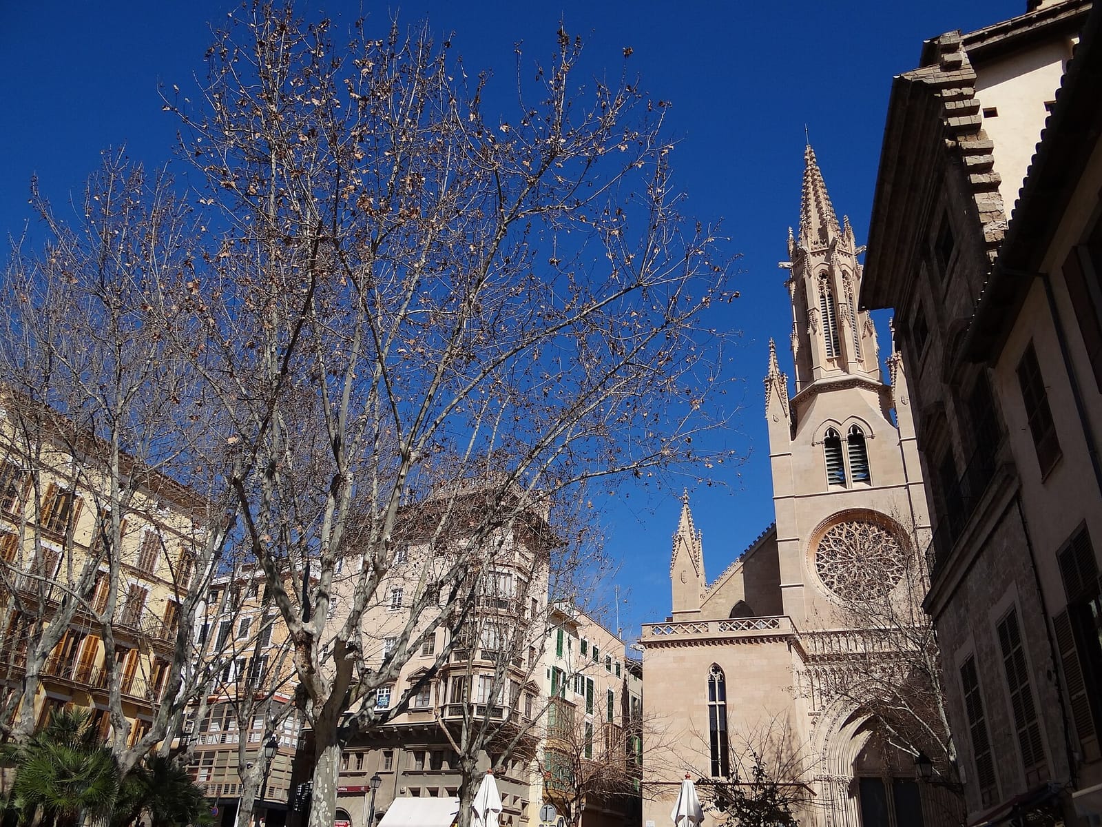 Cafè Plaça photo 4