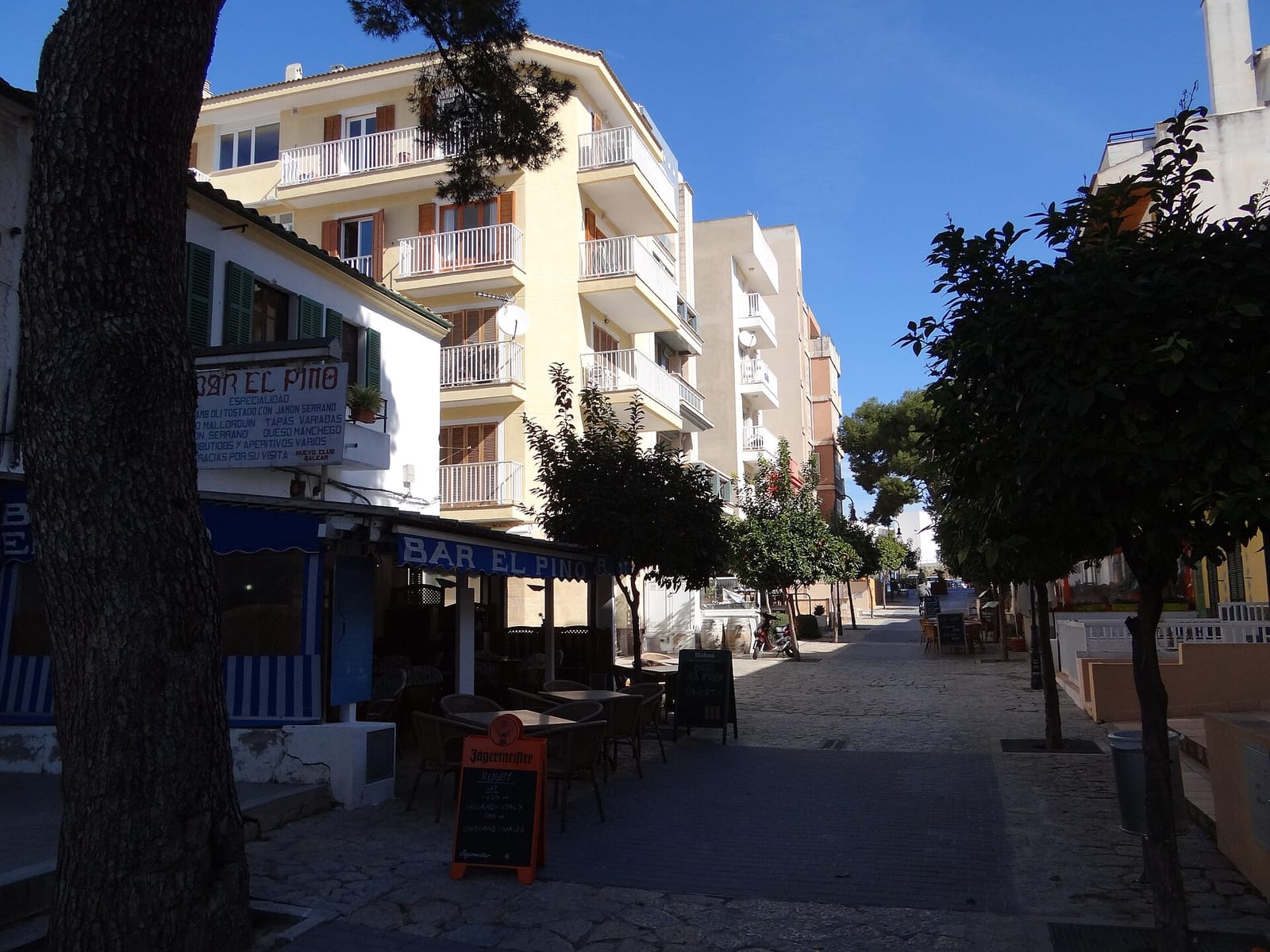 Dolce Vita photo 3