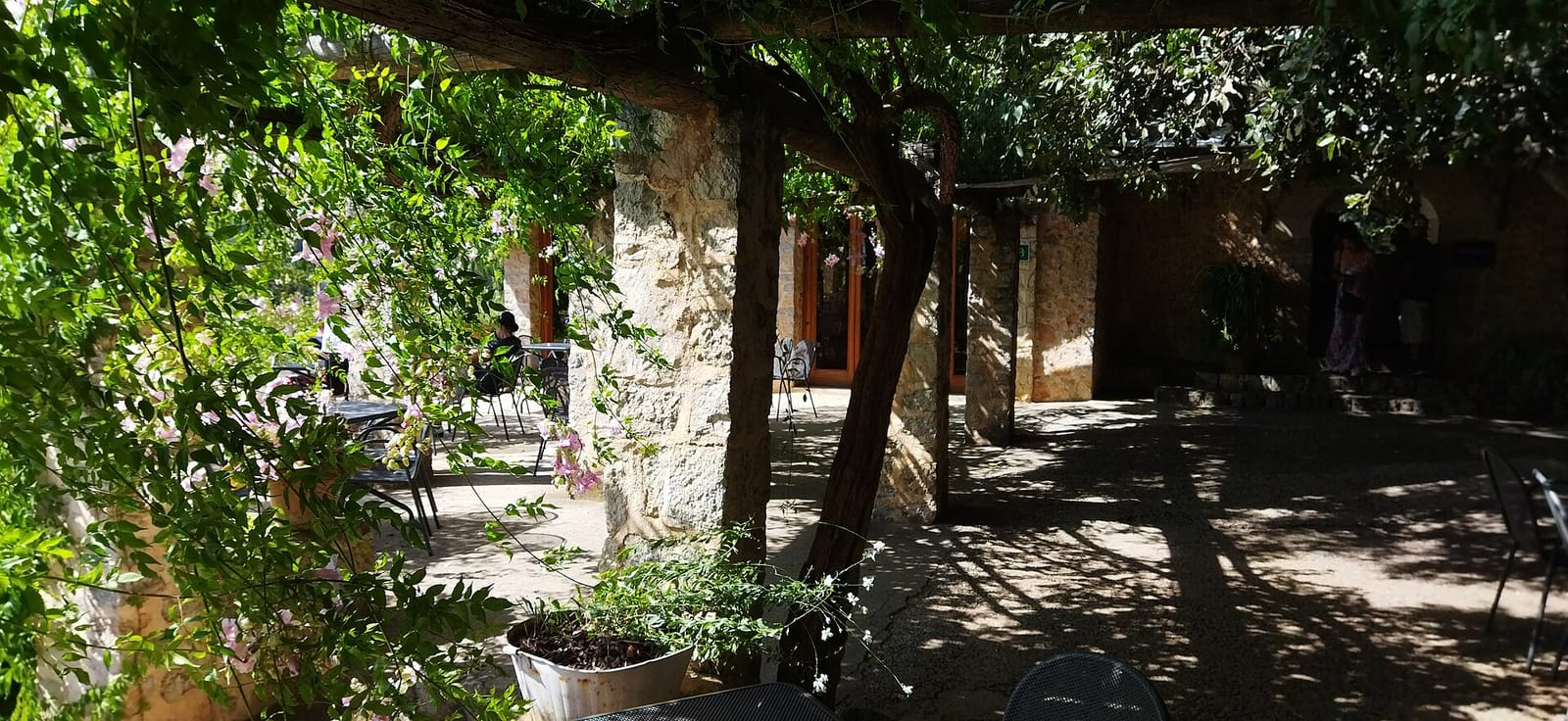 Ses Coves photo 2