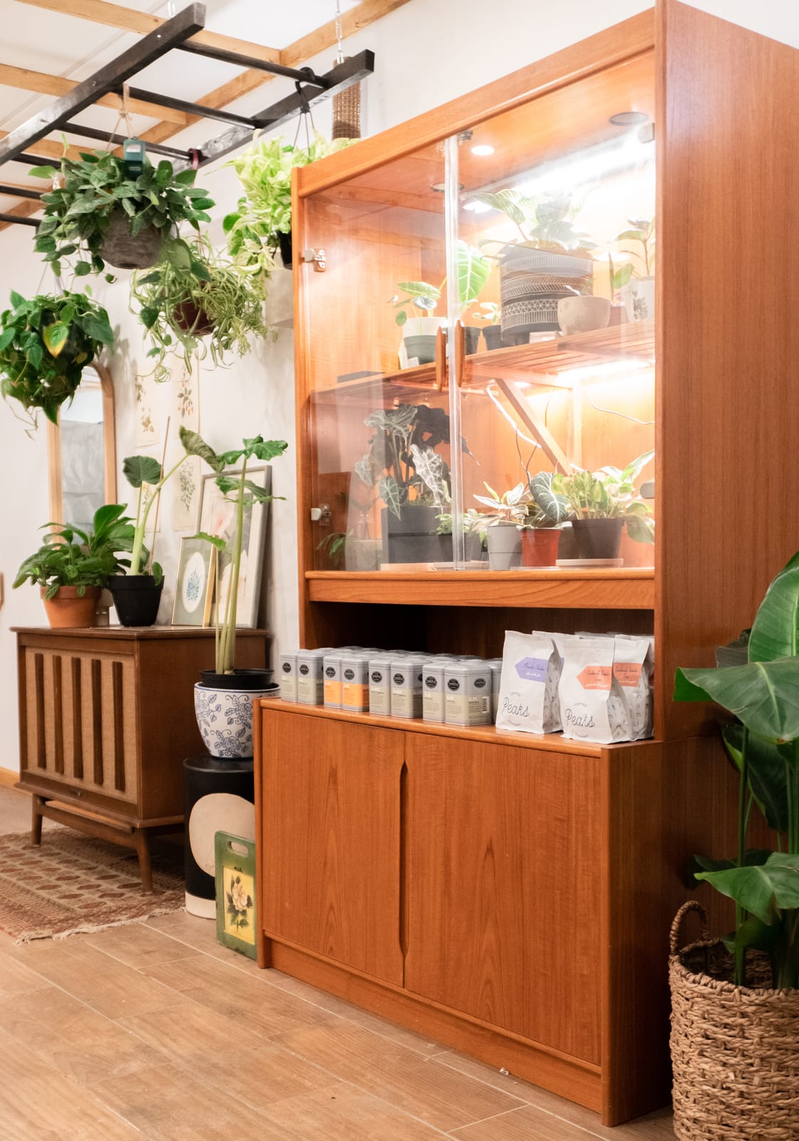 Glasser Coffee Co photo 2