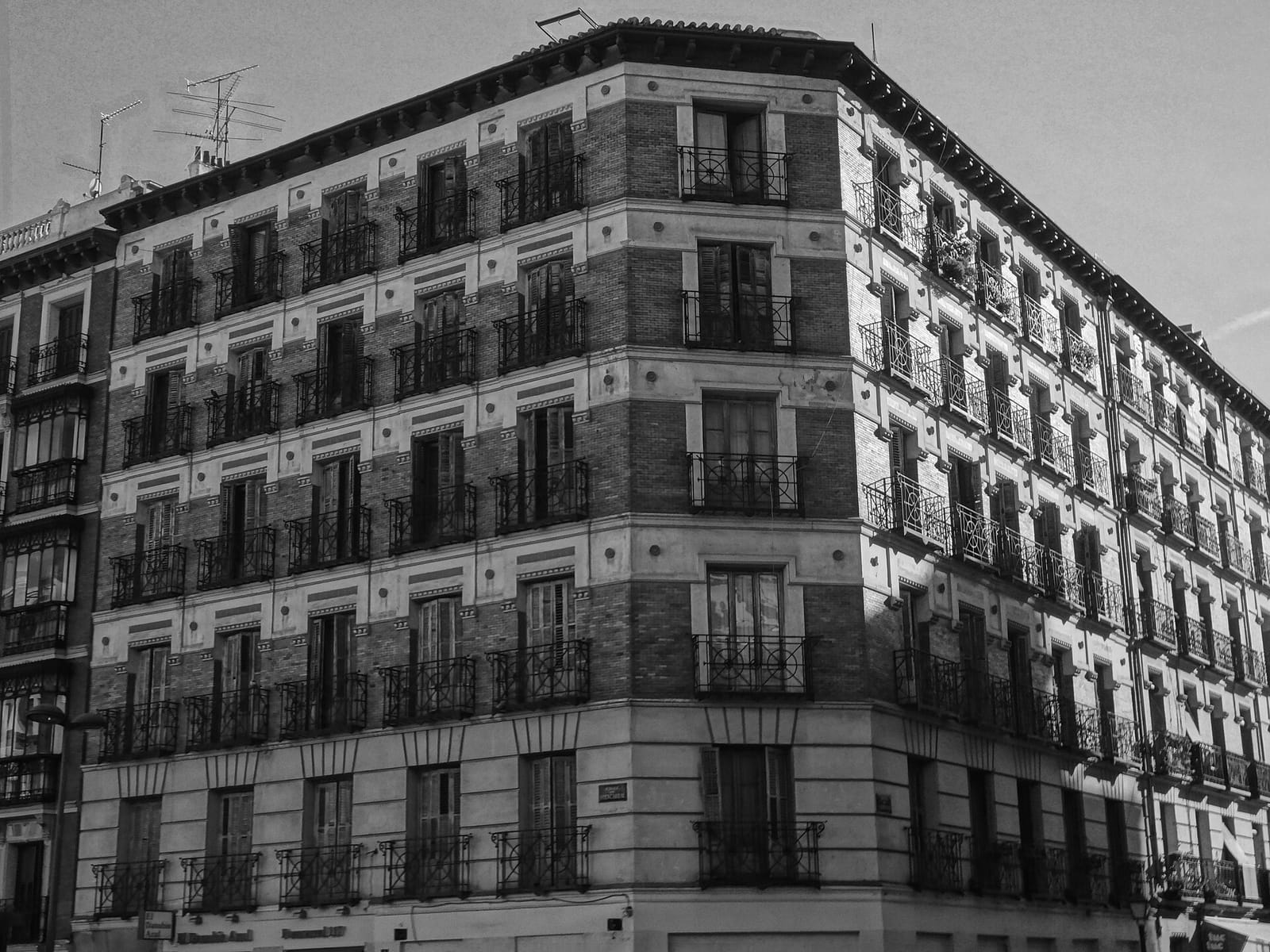 Viena Capellanes photo 2