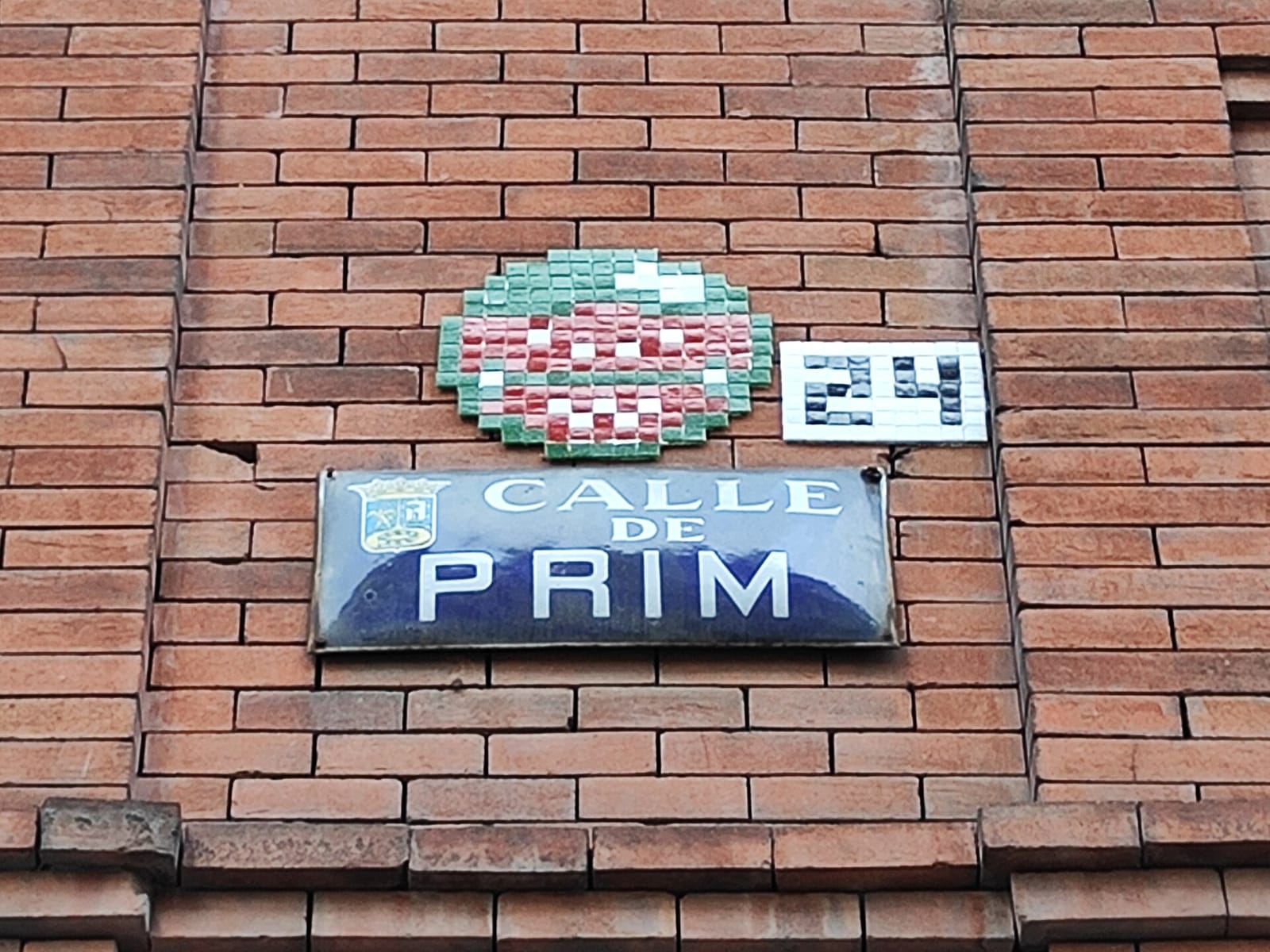 Panod photo 2